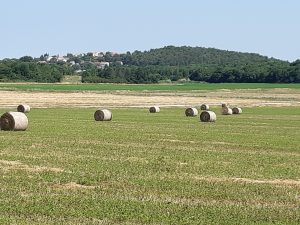 Blick auf Fuškulin